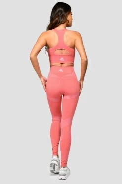 Energy Seamless Bra Top - Rose Pink/Orchid Pink -Cheap Unisex Activewear Store Energy Seamless Bra Top Rose Pink Orchid Pink back